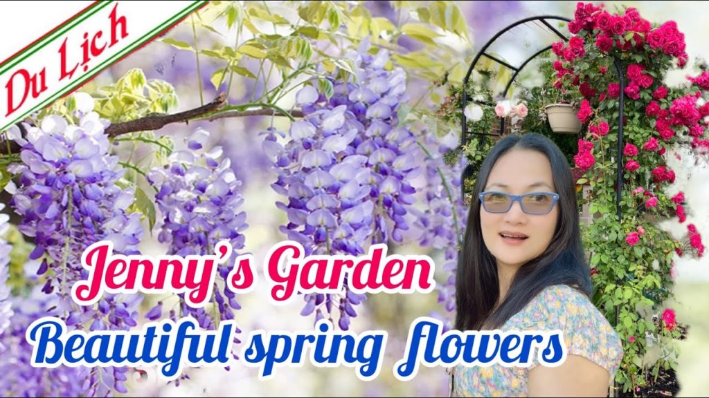 Travel Cincinnati Ohio-Beautiful spring flowers in my garden