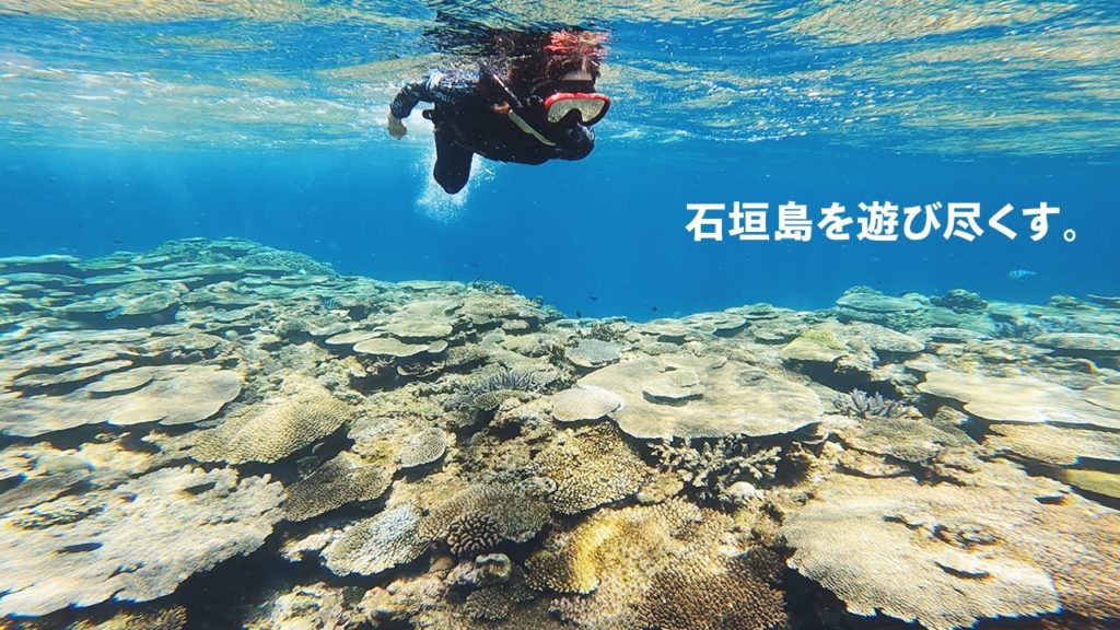 沖縄日記②｜石垣島はかくも面白い。八重山を巡る5日間（前編）