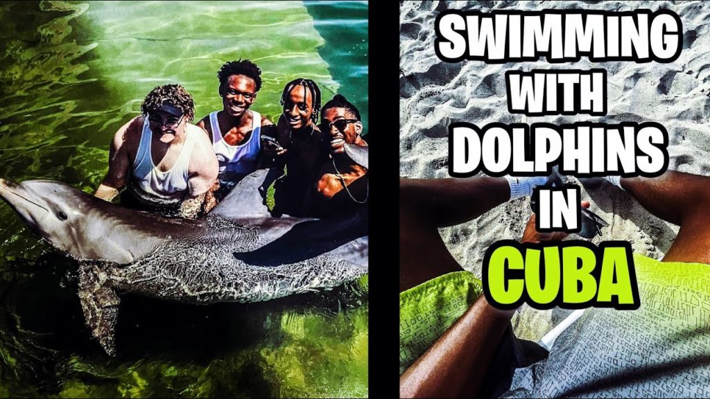 SWIMMING WITH DOLPHINS IN CUBA! 🐬