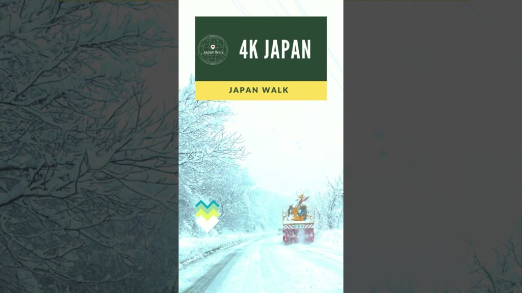 JAPAN SNOW 4K - Nagaoka Niigata Drive New Year's Eve