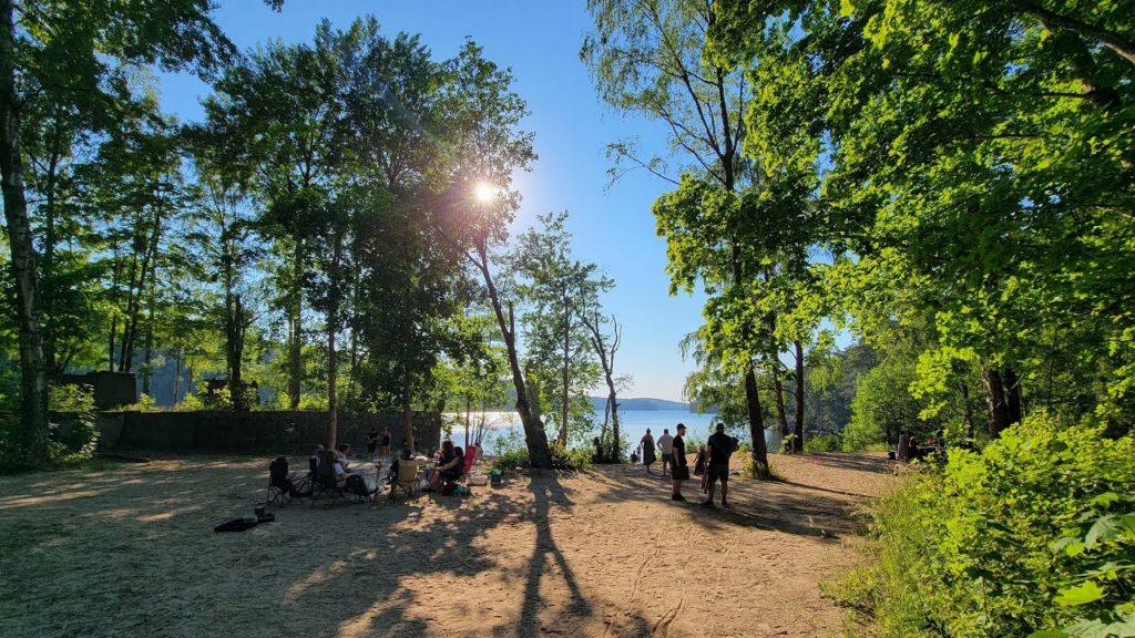 Live Evening Forest & Sunset Nature Walk - TE in #Sweden #004