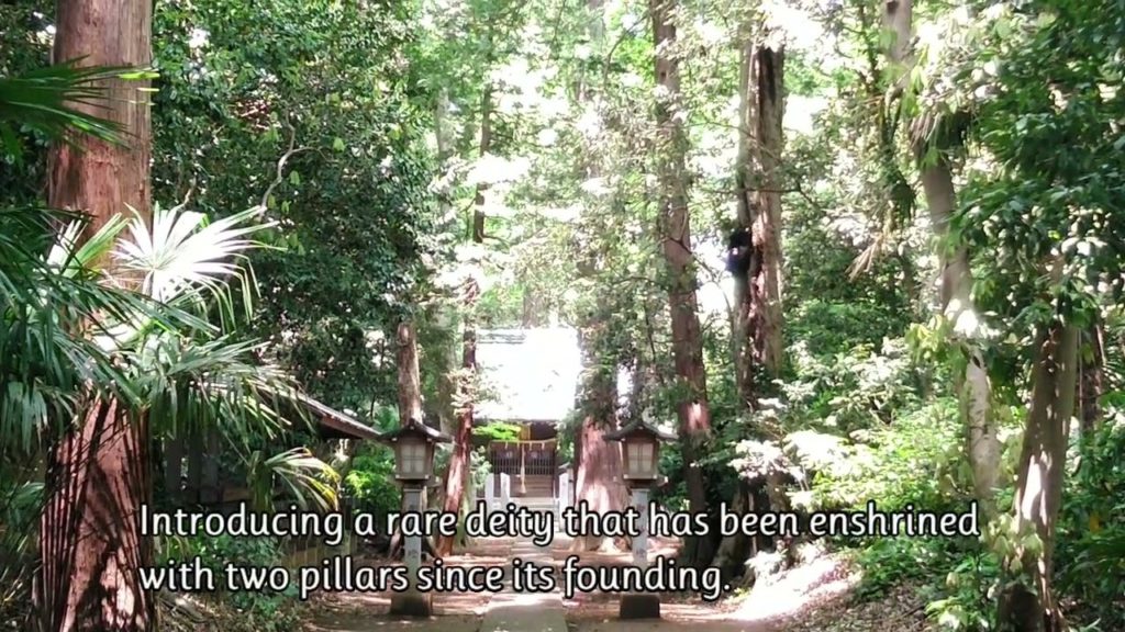Rare twin deities, Japan travel ,Two Pillars are recommended from the beginning #Shorts