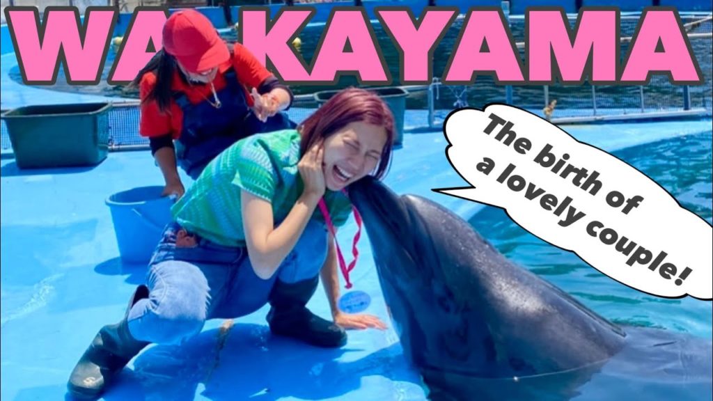 ④Travel to Wakayama☆Let's  see whale and dolphin shows in Taiji! Japan  vlog☆