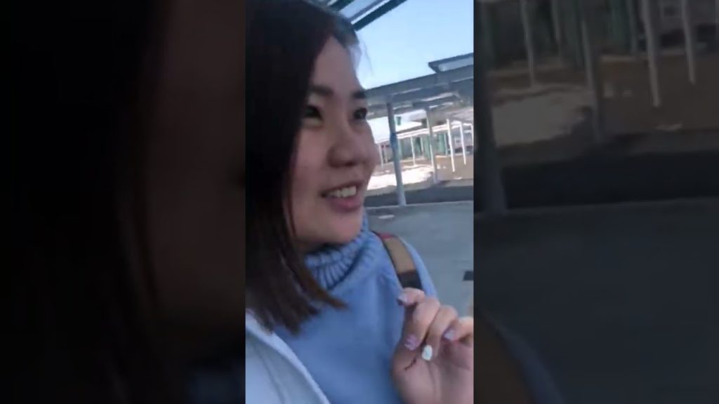 2019-03 Tokyo & Hokkaido Trip