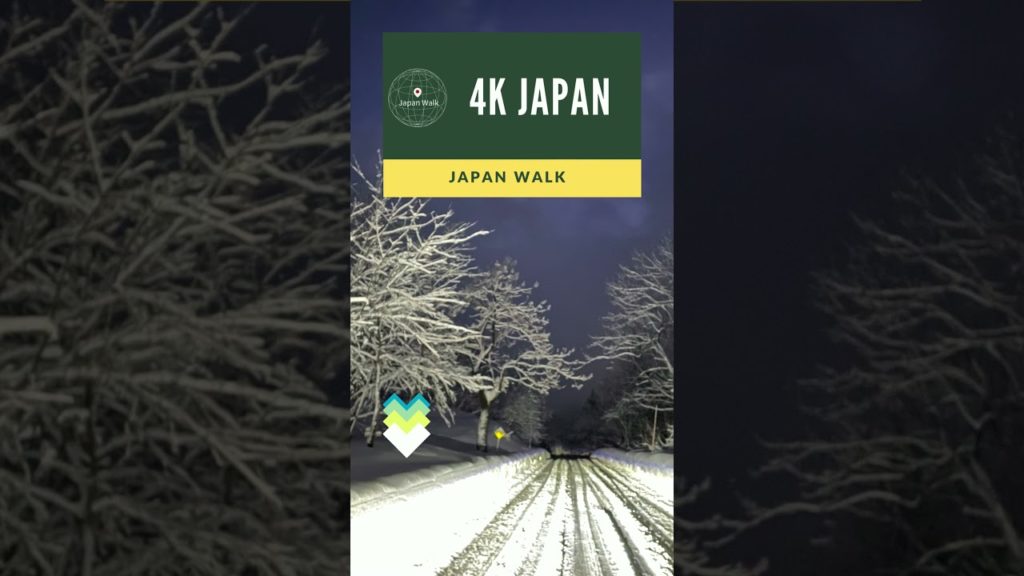 Snow 4K Japan Walk - NAGAOKA NIIGATA  Neighborhood Walking Tour | 新潟長岡 2021 New Year's Eve