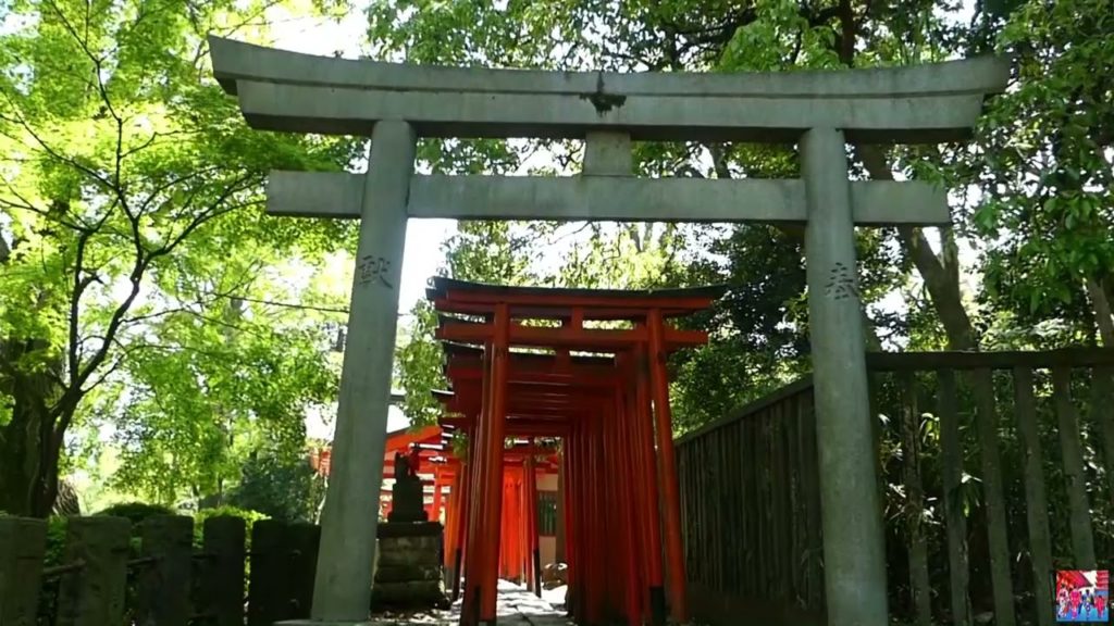 Japan In Shorts | Tokyo in 1 Minute | NEZU JINJA SHRINE Part 3 | #shorts Japan In Shorts | Tokyo in 1 Minute | NEZU JINJA SHRINE Part 3 | #shorts