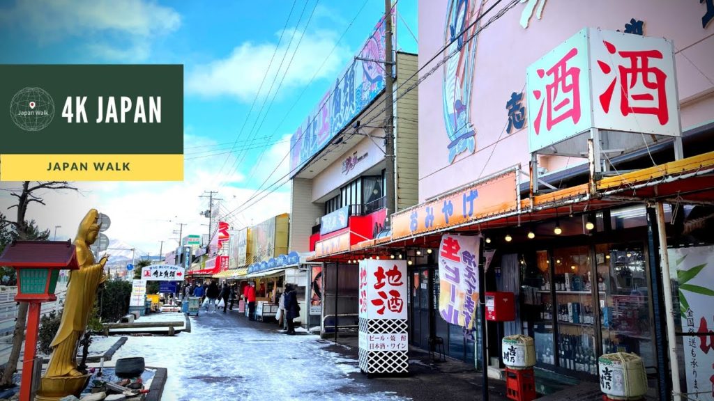 Snow 4K Japan Walk - NIIGATA Nagaoka fish market Neighborhood Walking Tour | 新潟長岡 寺泊 2021