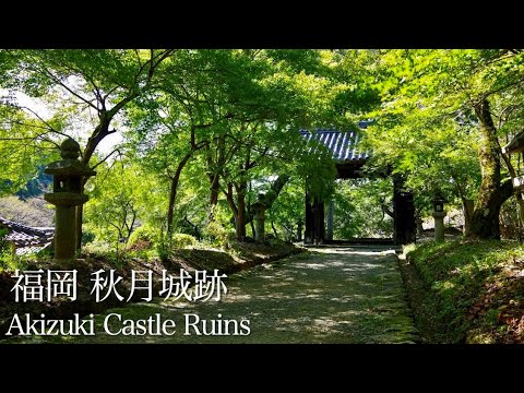 秋月城跡を巡る【福岡】/A trip around Akizuki Castle Ruins[Fukuoka,Japan] - Alo ...