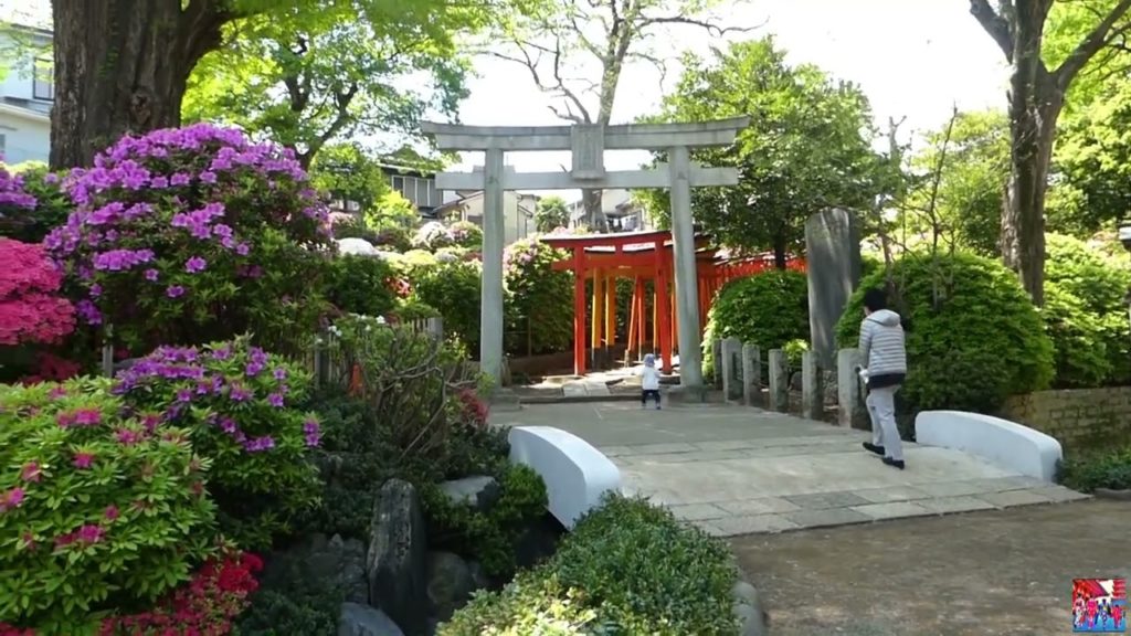 Japan In Shorts | Tokyo in 1 Minute | NEZU JINJA SHRINE Part 2 | #shorts Japan In Shorts | Tokyo in 1 Minute | NEZU JINJA SHRINE Part 2 | #shorts
