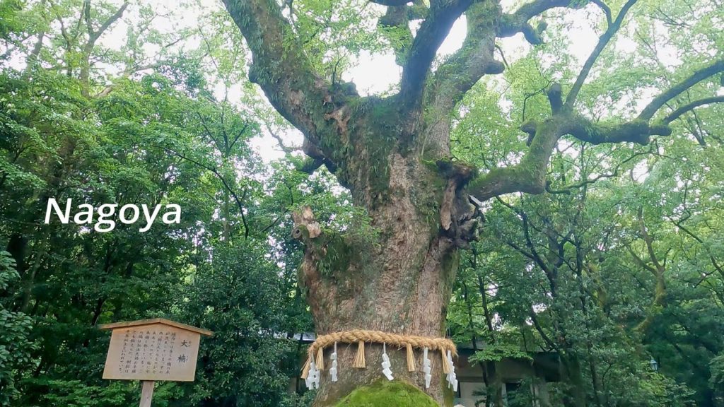 名古屋グルメと観光名所を巡る旅