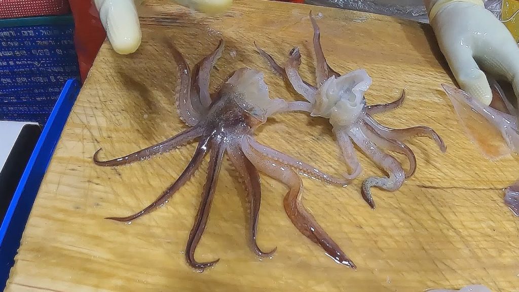street food asmr food fish cutting korean food asian seafood korea sashimi making video 300622 1