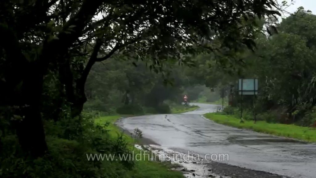 Road to Satara from Mahabaleshwar