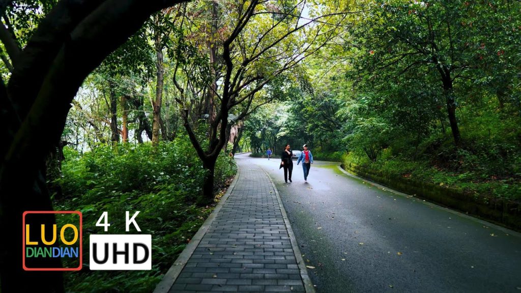 [重庆] ChongQing Geleshan National Forest Park Walking | 2021 Walk in China 4k |   歌乐山国家森林公园（Insomnia）