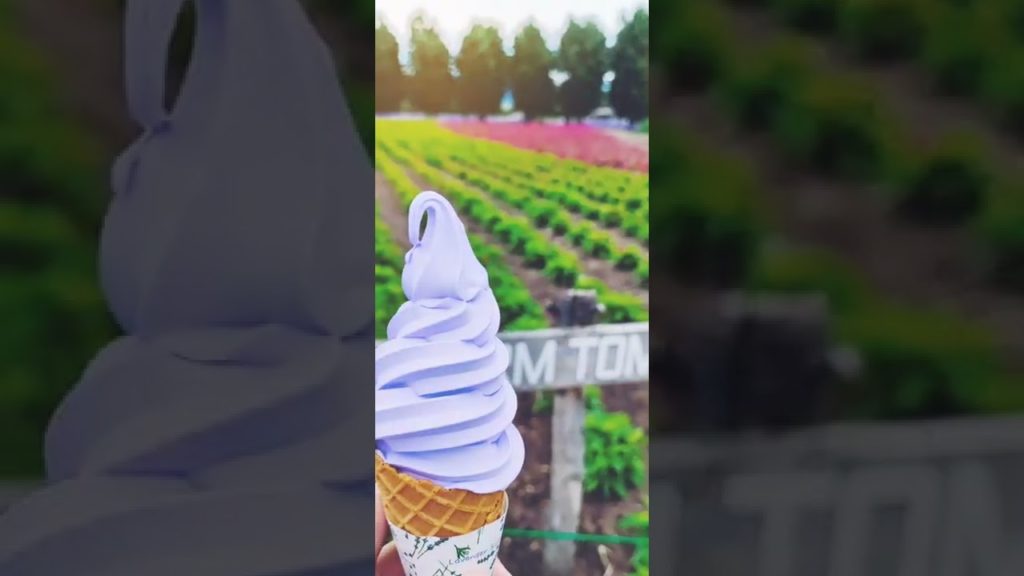 北海道旅行スライドショー22年7月