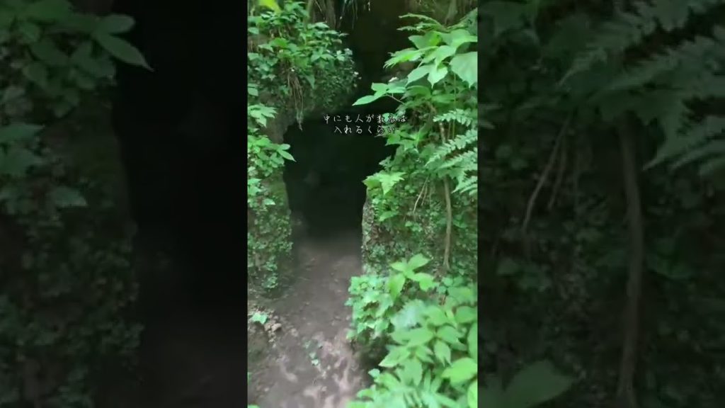 【熊本観光】るろうに剣心のロケ地で使われた神秘的過ぎるパワースポット‼︎ #shorts