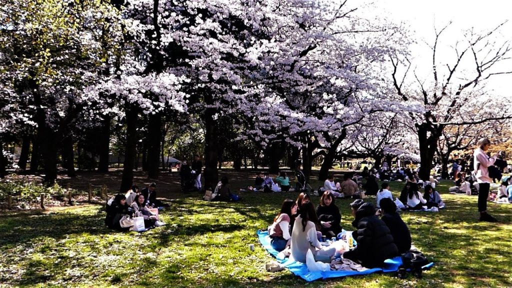 Japan In Shorts | Tokyo in 1 Minute | YOYOGI PARK Part 3 | #shorts