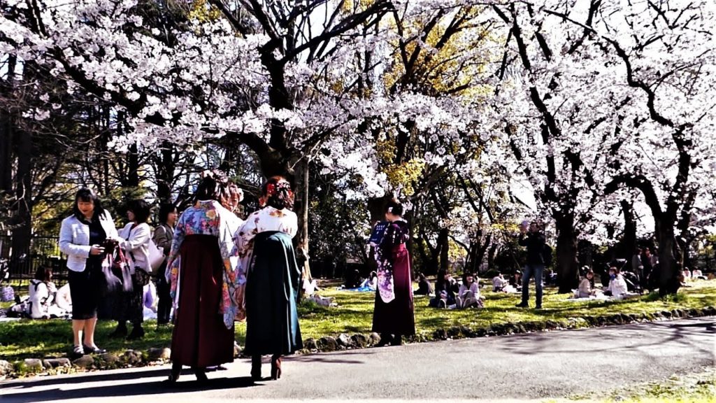 Japan In Shorts | Tokyo in 1 Minute | YOYOGI PARK Part 5 | #shorts Japan In Shorts | Tokyo in 1 Minute | YOYOGI PARK Part 5 | #shorts