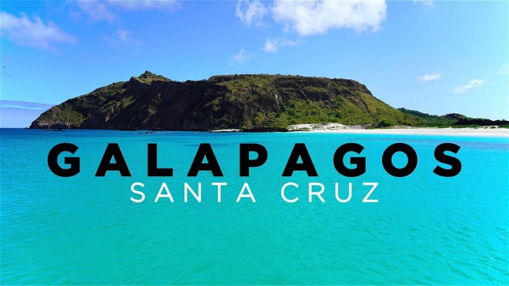 GALAPAGOS: Isla Santa Cruz – Travel Vlog with ALL SIGHTS and ISLANDS in 4K – English Version GALAPAGOS: Isla Santa Cruz - Travel Vlog with ALL SIGHTS and ISLANDS in 4K - English Version