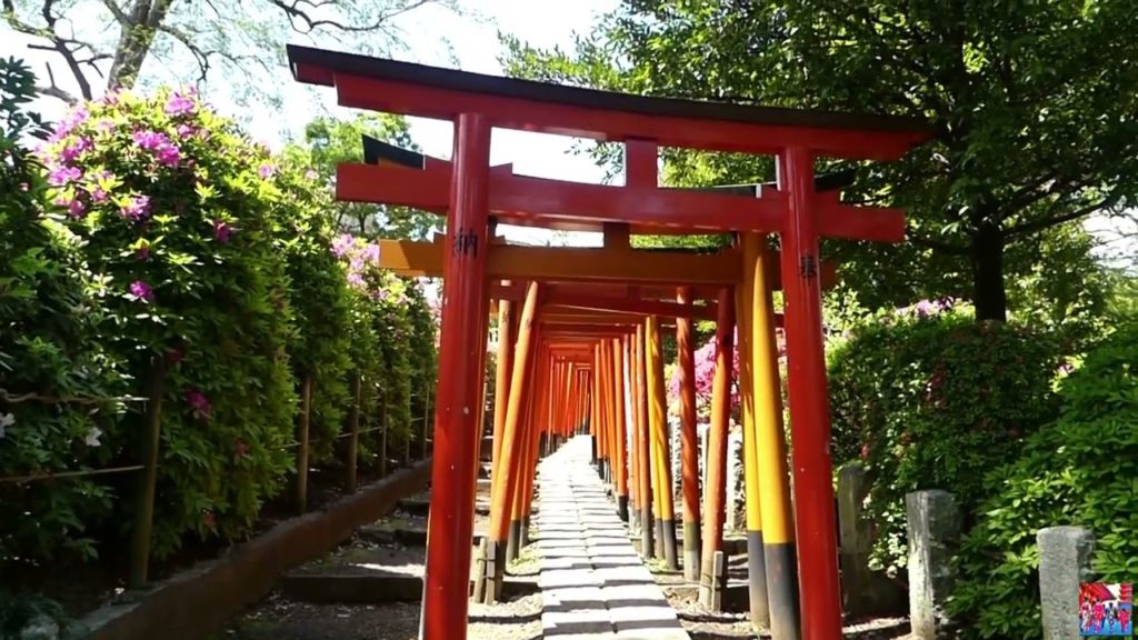 Japan In Shorts | Tokyo in 1 Minute | NEZU JINJA SHRINE Part 5 | #shorts