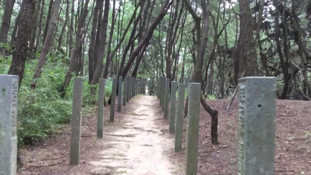 Fukuoka Day Tours will take you to some very historical and important places in Fukuoka.