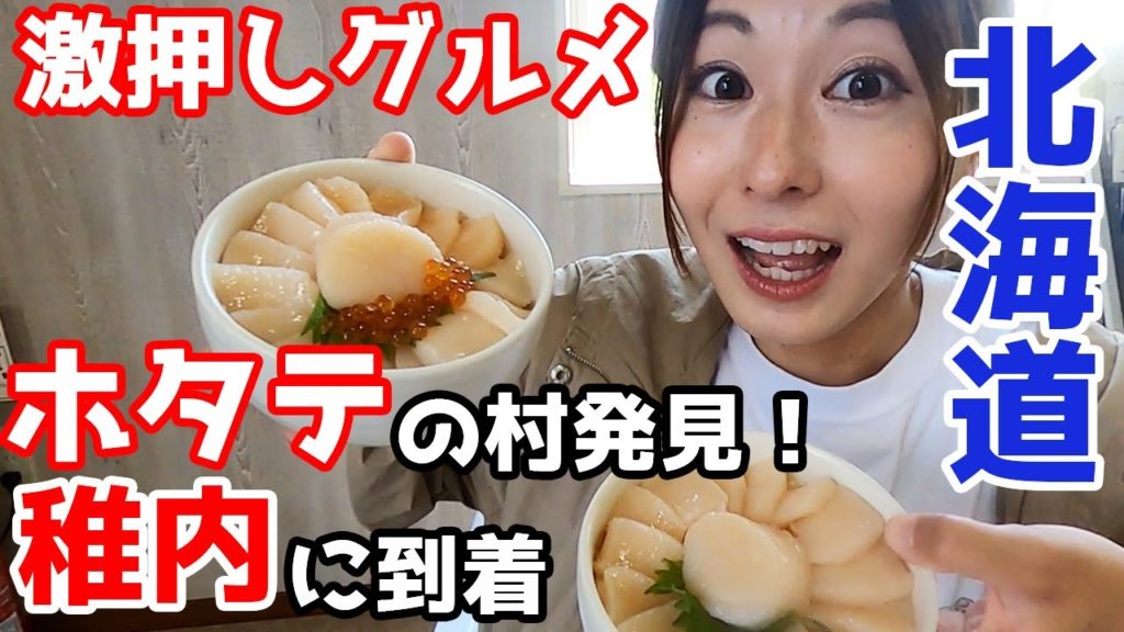 【北海道一周/稚内】道の駅の超有名で贅沢なホタテ丼を食す。絶景尽くしの一日【軽自動車で車中泊】