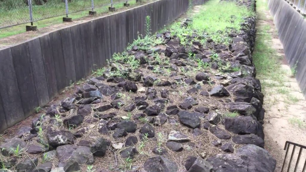 Fukuoka Day Tours investigates the remnants of the Mongolian Wall in Imazu, Fukuoka .