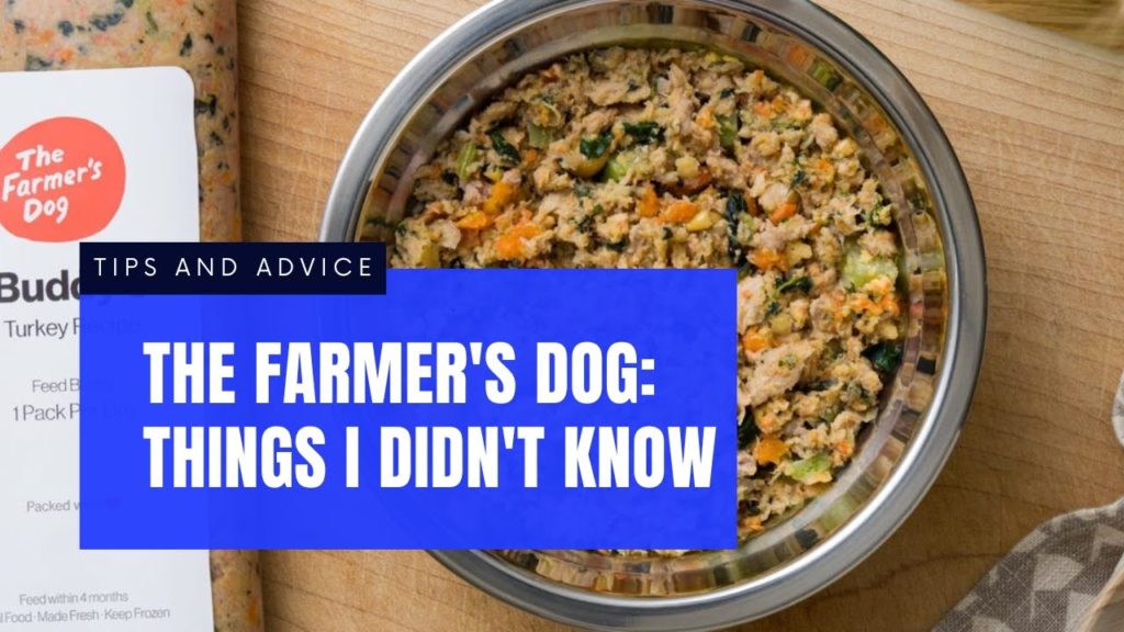 Things I Didn’t Know About The Farmer’s Dog | Fresh Dog Food Delivery Service Testimonial Things I Didn’t Know About The Farmer’s Dog | Fresh Dog Food Delivery Service Testimonial