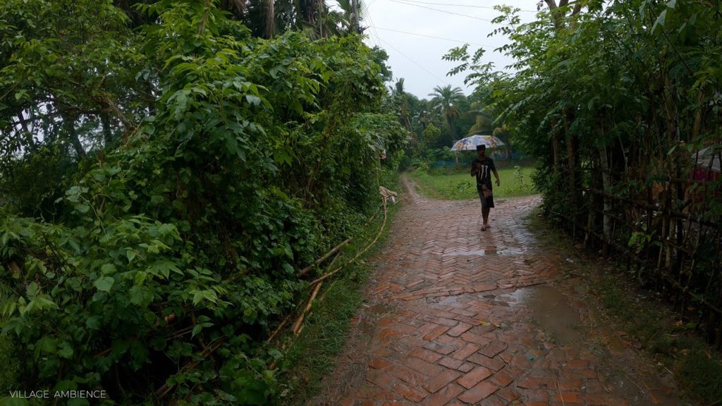 Heavy Rain Walk in Bangladesh Village Area | Walking in the rain | Beautiful Rainy Day | rain walk
