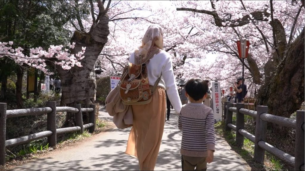 Trip to Takato Castle Ruins Park in Ina City, Nagano Prefecture during Cherry Blossoms