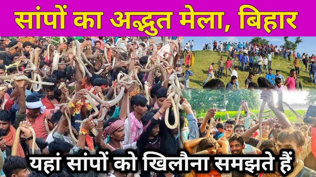 बिहार के समस्तीपुर में सांपों का अद्भुत मेला | nagpanchami mela Samastipur Bihar | नाग पंचमी मेला बिहार के समस्तीपुर में सांपों का अद्भुत मेला | nagpanchami mela Samastipur Bihar | नाग पंचमी मेला