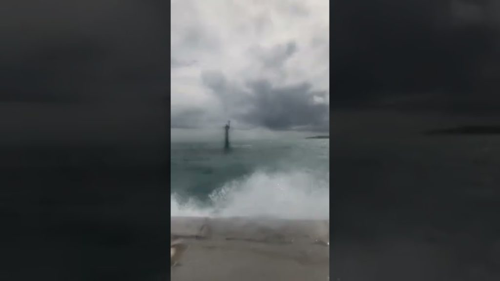 【Short❗️】海の暴走族❓沖縄石垣島ー竹富島高速船by安永観光 【Short❗️】海の暴走族❓沖縄石垣島ー竹富島高速船by安永観光