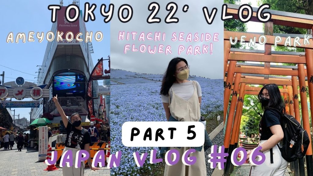 FIELD OF BLUE FLOWERS IN JAPAN | HITACHI SEASIDE PARK| IBARAKI UENO + AMEYOKOCHO | TOKYO VLOG 5 FIELD OF BLUE FLOWERS IN JAPAN | HITACHI SEASIDE PARK| IBARAKI UENO + AMEYOKOCHO | TOKYO VLOG 5