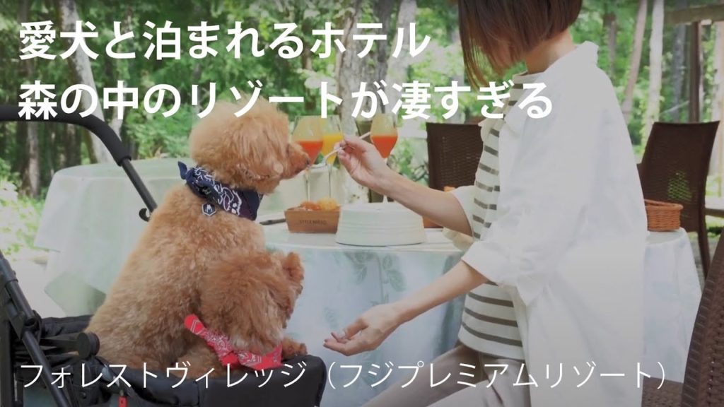 【山梨旅行】ペットと泊まれるリゾート！愛犬と一緒に食事を楽しめるレストランも【フォレストヴィレッジ（フジプレミアムリゾート）】