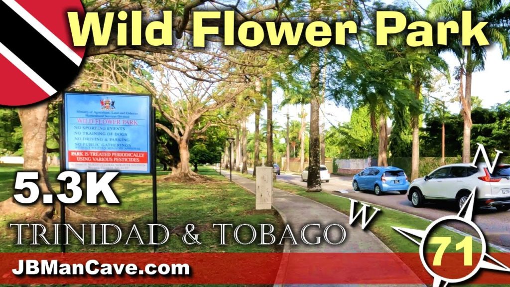WILD FLOWER PARK Port of Spain TRINIDAD and Tobago Walk Through Caribbean in 5.3K JBManCave.com WILD FLOWER PARK Port of Spain TRINIDAD and Tobago Walk Through Caribbean in 5.3K JBManCave.com