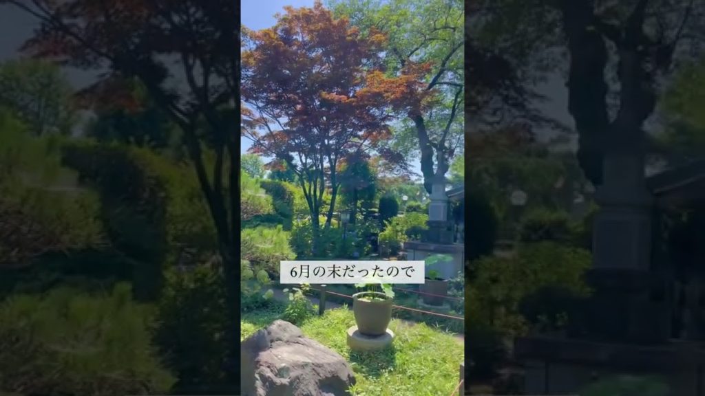 妙楽寺あじさい寺(川崎長尾山) / Myorakuji Temple #shorts 妙楽寺あじさい寺(川崎長尾山) / Myorakuji Temple #shorts