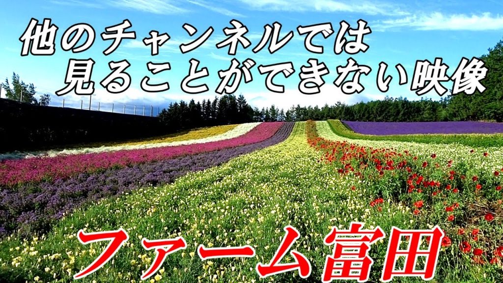 【北海道 富良野】全てみせます！ファーム富田２０２２
