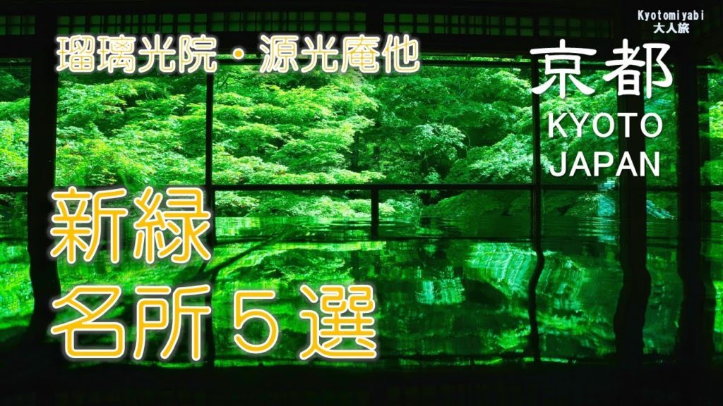 【京都・新緑】青モミジの新緑名所５選 京都観光 Famous place Fresh green of trees ５ selections in Kyoto Japan 写真撮影 風景写真