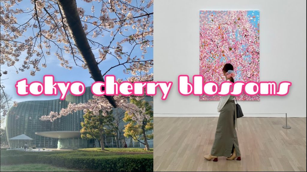 TOKYO VLOG | Cherry blossom walking tour🌸Roppongi, Chidorigafuchi ~東京お花見スポット巡り~千鳥ヶ淵、六本木さくら坂、ダミアンハースト TOKYO VLOG | Cherry blossom walking tour🌸Roppongi, Chidorigafuchi ~東京お花見スポット巡り~千鳥ヶ淵、六本木さくら坂、ダミアンハースト