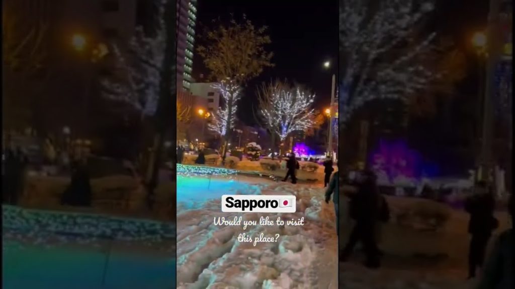 Winter Wonderland of Japan | Sapporo🇯🇵 #ytshorts #winterwonderland