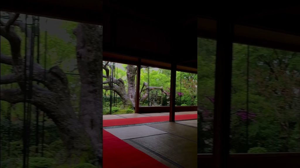 Best Japanese Garden to Visit in Kyoto 🇯🇵 #shorts