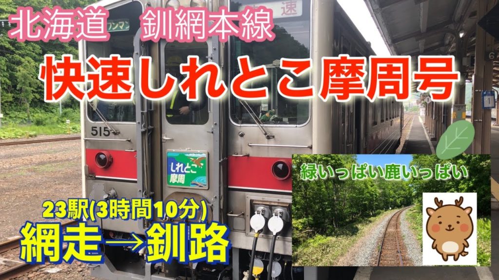 網走から釧路まで！鹿と緑がいっぱい♪釧網本線　快速しれとこ摩周号