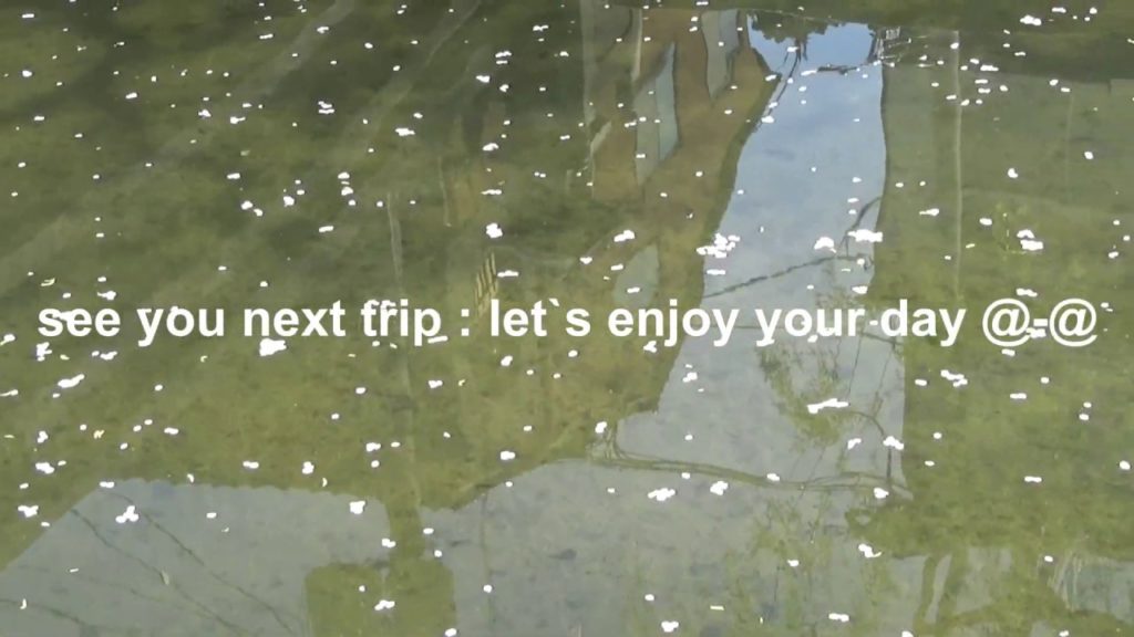 first Beautiful Sakura trip in Japan