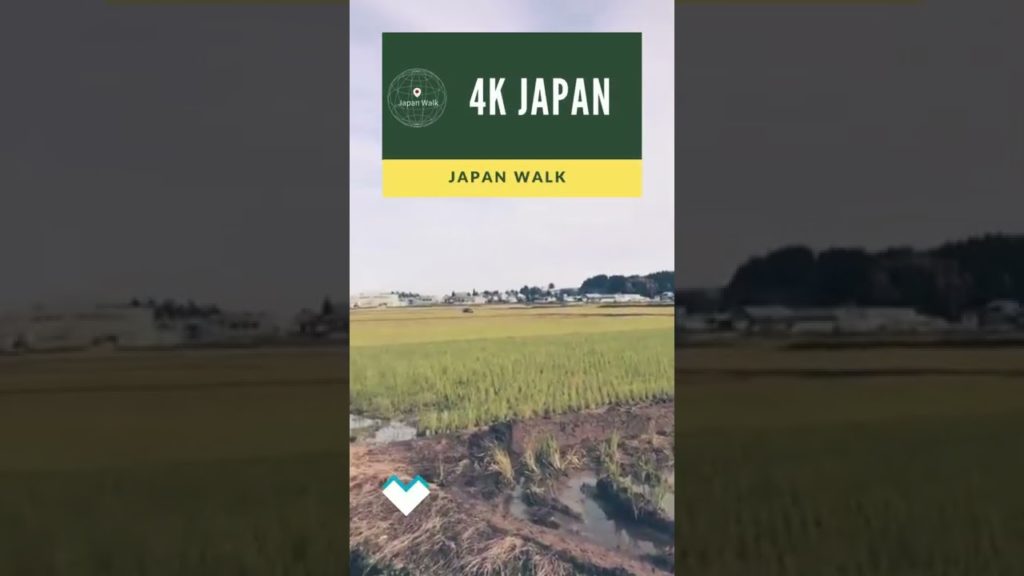 4K Japan Walk -  NIIGATA NAGAOKA Neighborhood Walking Tour | 新潟長岡 2021