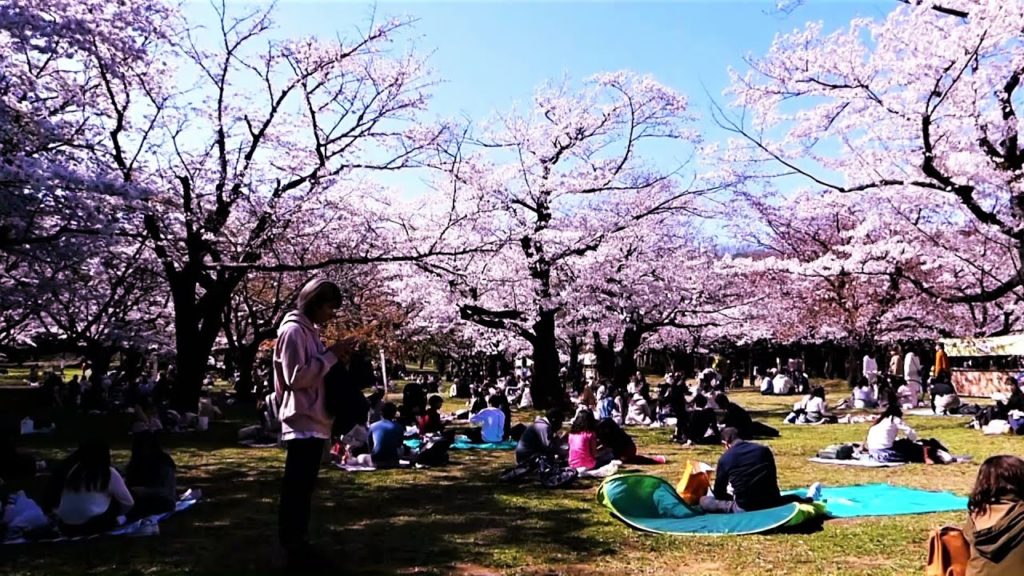Solo Travel Japan | An Early Spring Day In YOYOGI PARK  | Exploring TOKYO