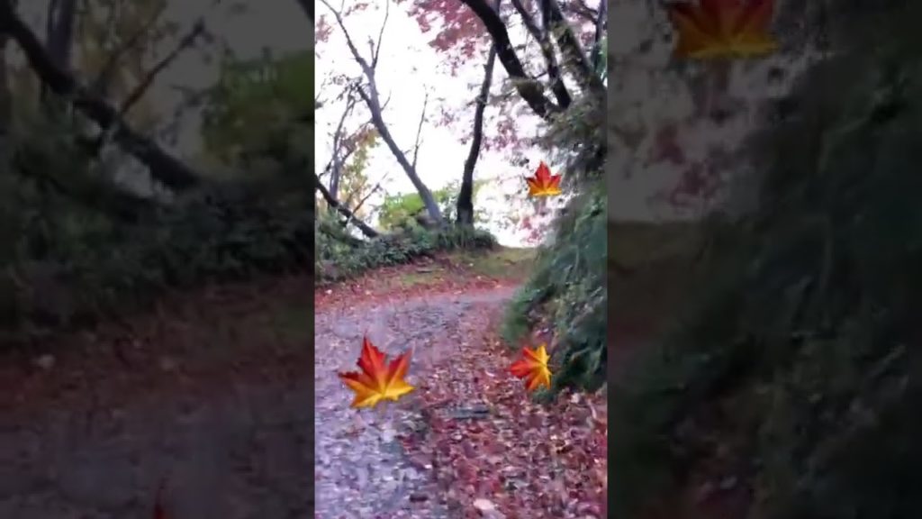 4K Japan Walk -  NIIGATA NAGAOKA Neighborhood Walking Tour | 新潟長岡 2021