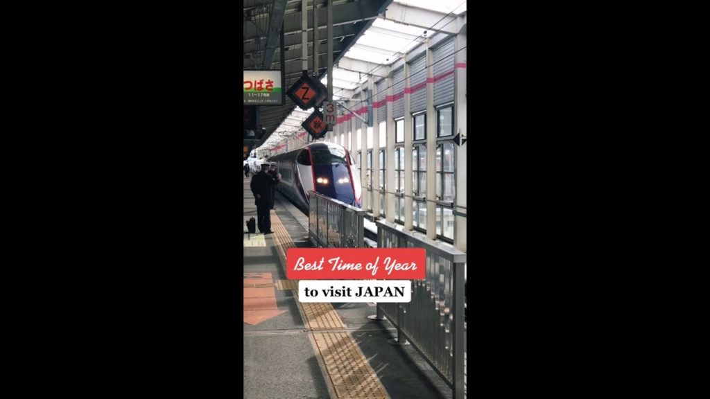 Best time of year to visit Japan ❄️☀️