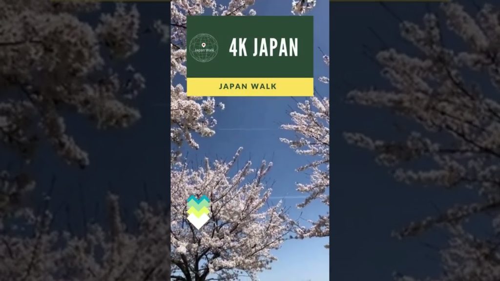 【4K HDR】Walk in NIIGATA Nagaoka (Fukuzumi) Neighborhood Walking Tour | 新潟長岡 2022
