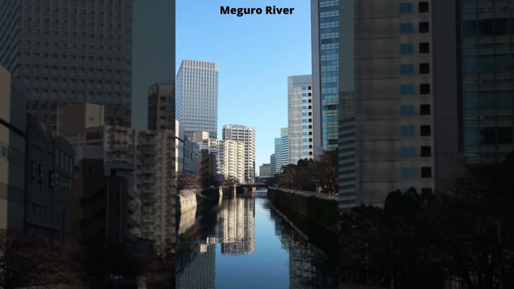 Great International cities to visit – Tokyo (part 1) #shorts Great International cities to visit - Tokyo (part 1) #shorts