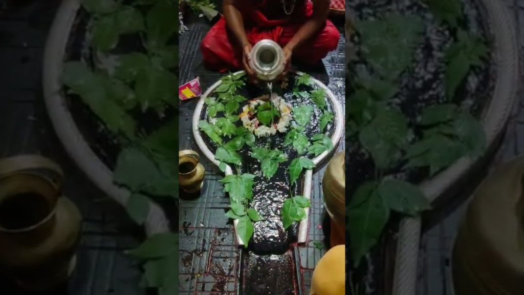 🕉️बाबा भोलेनाथ🌷_ Maa Ganga | Sawan Special 2022_ #youtubeshorts #grountravel