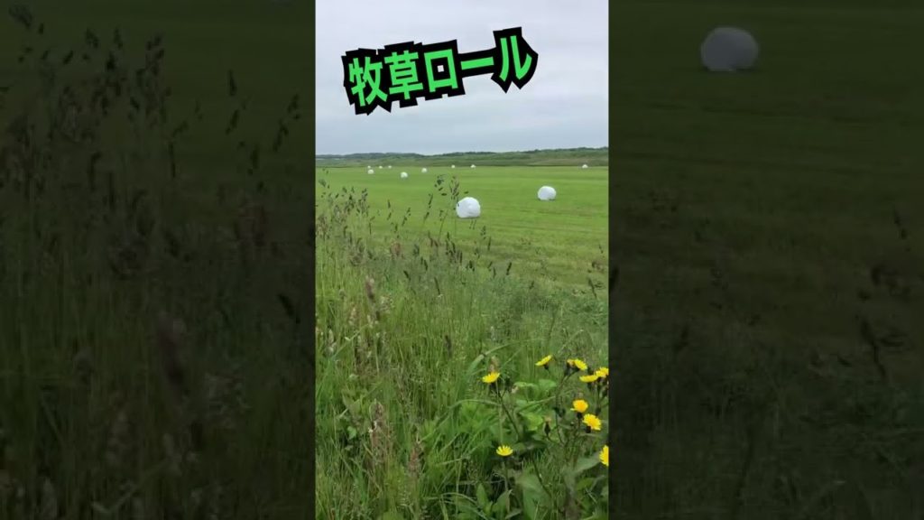 【まーっ直ぐ 何もない道を歩く】 お金が無いから旅に出た  日本2周目歩き旅  北海道豊富町→稚内 2022年6月18日